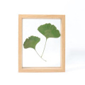 High Quality Custom 4x6 5x7 8x8  8x10 11x14  3D DIY Plant Specimen Shadow Box Frame Display Case Floating Frame for Souvenir